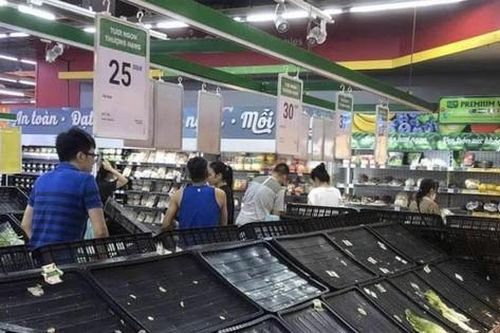 Rau củ, quả sẽ liên tục ra Bắc