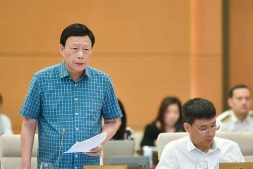 Đề nghị giám sát lại sau vụ Mái ấm Hoa Hồng