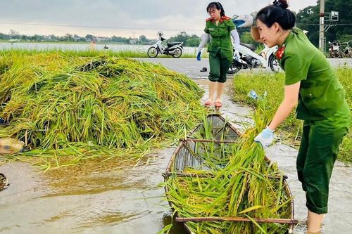 Hình ảnh những chiến sĩ công an Hà Nội lăn xả giúp dân chạy lũ