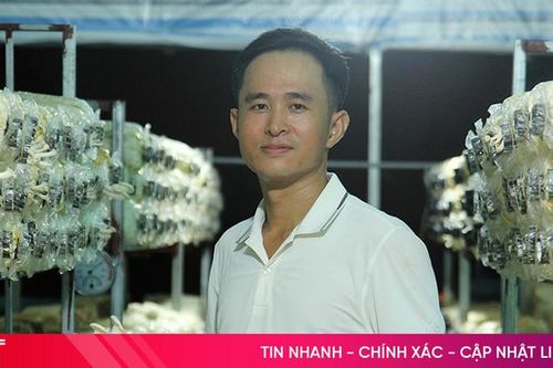 Trồng nấm bằng công nghệ làm mát
