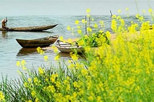 Gửi quê chồng
