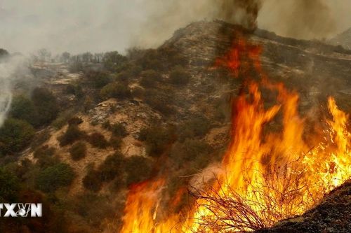 Mỹ: Cháy rừng tiếp tục lan rộng không thể kiểm soát tại bang California