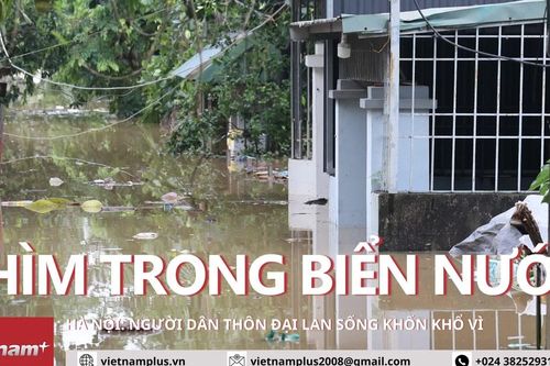 Hà Nội: Người dân thôn Đại Lan khốn khổ vì nhà cửa chìm trong biển nước