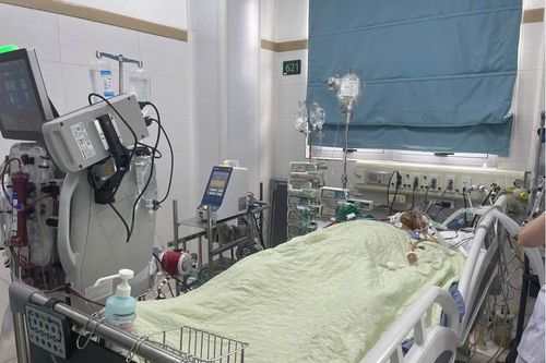 Bệnh viện Bạch Mai tiếp nhận điều trị 2 nạn nhân vụ lũ quét tại bản Làng Nủ