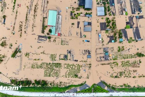 Phòng chống đuối nước: 'Học bơi là không đủ, mà còn cần kỹ năng sinh tồn'