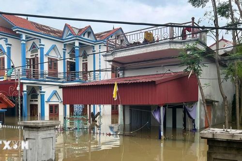 Dồn lực hỗ trợ người dân vùng rốn lũ Nho Quan ở tỉnh Ninh Bình