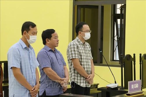Làm giả tài liệu của cơ quan, tổ chức: Hai cán bộ cùng lĩnh 3 năm tù