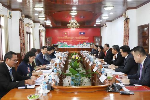 Tăng cường hợp tác giữa hai Ban Tổ chức Trung ương Việt Nam - Lào