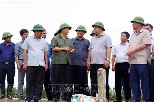 Phó Thủ tướng Trần Hồng Hà thị sát công tác khắc phục hậu quả sau bão số 3 tại Nam Định