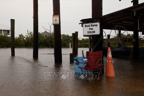Mỹ: Bão Francine tàn phá Louisiana, hàng trăm nghìn người mất điện
