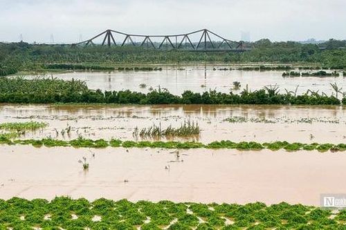 Lũ trên các sông ở mức báo động, một số địa phương vẫn chủ quan, lơ là