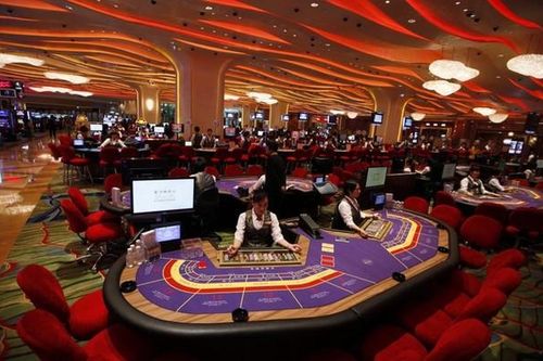 Casino duy nhất cho người Việt vào chơi báo lỗ hơn 300 tỷ đồng
