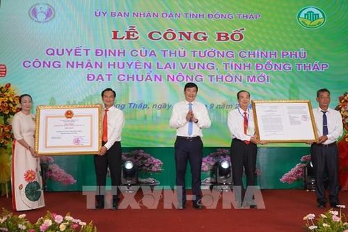 'Thủ phủ' quýt hồng Đồng Tháp đạt chuẩn huyện nông thôn mới