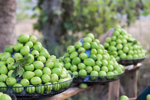 Hà Nội đồng hành cùng hợp tác xã đưa công nghệ sạch vào sản xuất