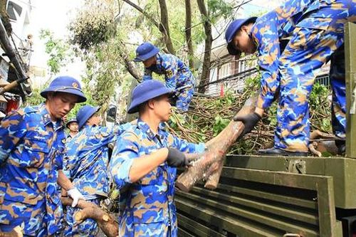 Hải Phòng: Cán bộ, chiến sĩ Hải quân tham gia trồng lại cây xanh sau bão số 3