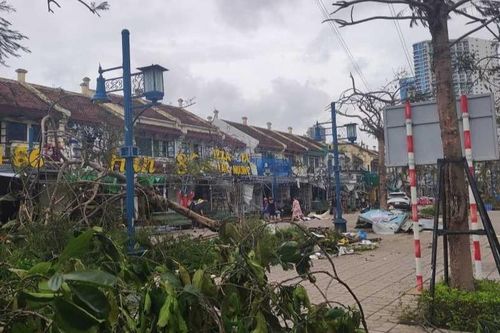 Mưa bão tàn phá mùa du lịch ở miền Bắc