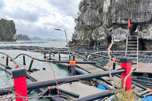 Doanh nghiệp thủy sản thiệt hại sau bão lũ, đối diện nguy cơ 'lỡ hẹn' các đơn hàng lớn