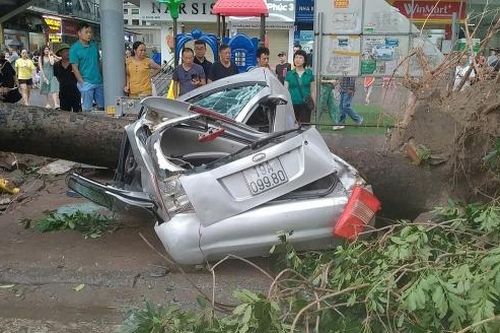 Công ty bảo hiểm ước tính thiệt hại do bão Yagi là hàng nghìn tỷ đồng
