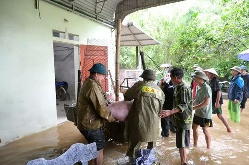 Tuyên Quang: Thiệt hãi do bão lũ tại Hàm Yên ước tính 36 tỷ đồng