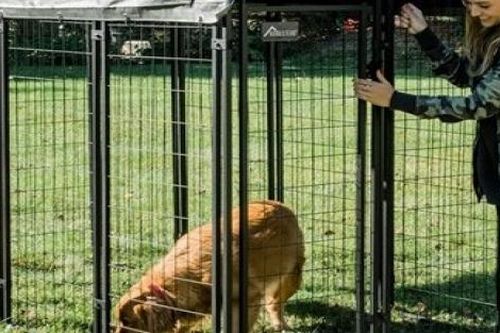 Những xu thế tiêu dùng mới, doanh nghiệp Việt cần chớp thời cơ