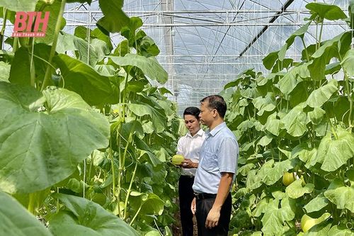 Nga Sơn phát huy quy chế dân chủ ở cơ sở, tạo sự đồng thuận trong Nhân dân