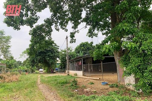 'Sống mòn' vì dự án kéo dài