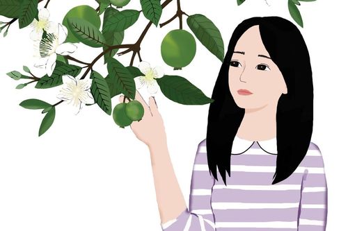 Hương ổi mùa xa