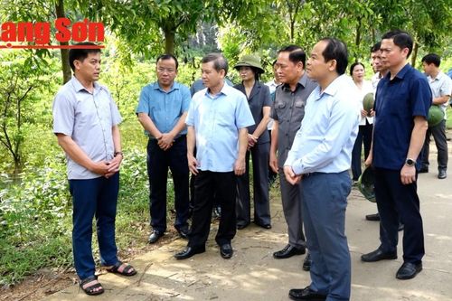 Chánh Tòa án nhân dân tối cao kiểm tra công tác khắc phục hậu quả cơn bão số 3 tại Lạng Sơn