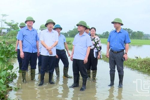 Lãnh đạo tỉnh kiểm tra công tác khắc phục hậu quả mưa lũ tại Phú Bình