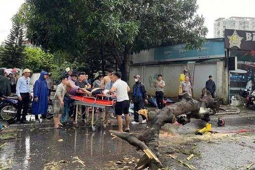 Hà Nội: Cứu chữa miễn phí người bị nạn do ảnh hưởng của bão số 3