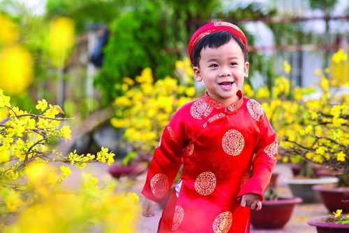 Bốn pháp chúc mừng