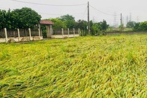 Thái Nguyên: Bão lũ gây thiệt hại ước tính trên 608 tỷ đồng