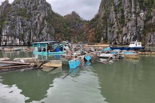 Quảng Ninh: Gỡ khó cho người dân đang vay vốn ngân hàng bị ảnh hưởng của bão số 3