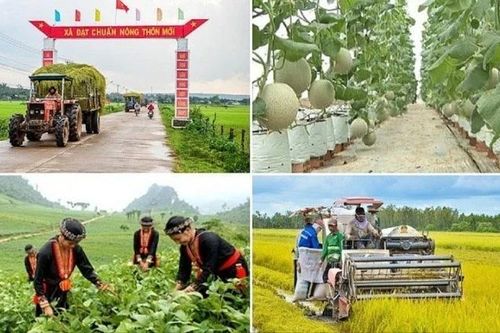 Cần khắc phục tình trạng đầu tư dàn trải