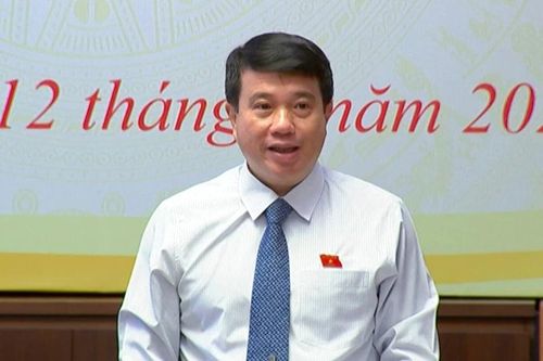 Tham vấn ý kiến về quá trình hình thành, phát triển của Hội đồng Dân tộc