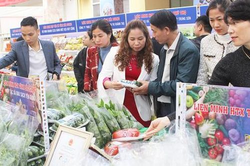 Hà Nội ngăn 'thổi giá' hàng hóa, tập trung tìm kiếm cứu nạn, khắc phục hậu quả lũ lụt
