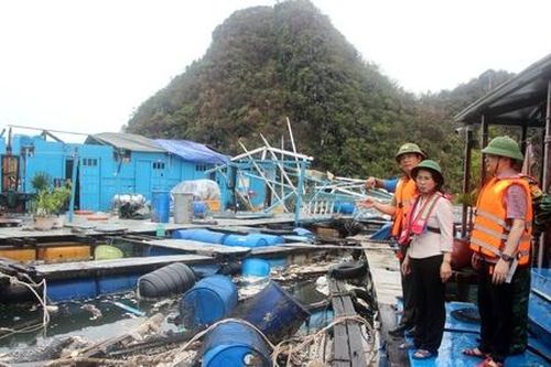 Giải bài toán cung ứng thực phẩm ở miền Bắc trong thời gian tới ra sao?