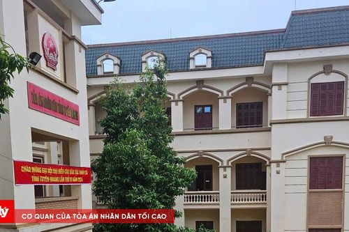 Tuyên Quang: Cán bộ Tòa 'chạy đua' với nước lũ giữa đêm