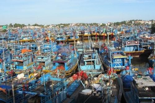 Chìm tàu cá, 14 thuyền viên may mắn thoát nạn