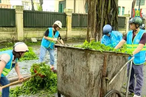 Quận Ba Đình khắc phục sự cố sau bão số 3
