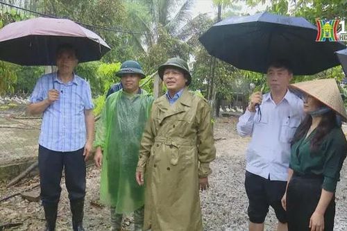 Chương Mỹ mất gần 15.000 gia súc, gia cầm do bão
