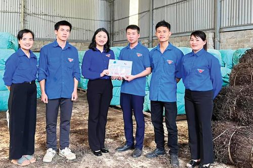 Tạo môi trường hỗ trợ thanh niên khởi nghiệp