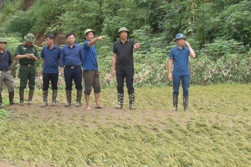 Bảo Lâm 1 người chết, 317 ngôi nhà bị hư hỏng do bão lũ