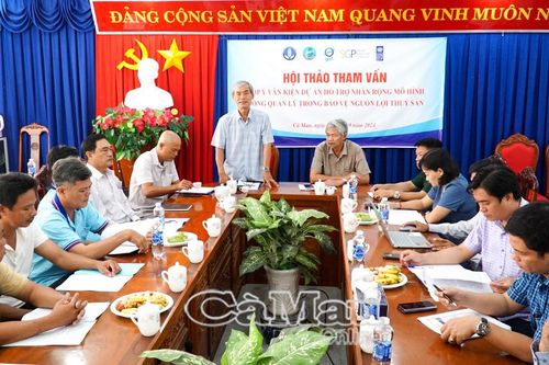 Xây dựng mô hình mẫu về thực hiện đồng quản lý