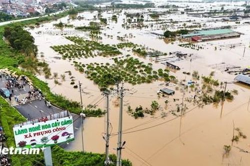 Xót xa 3 xã làng nghề vùng trồng hoa của Hưng Yên chìm trong nước lũ