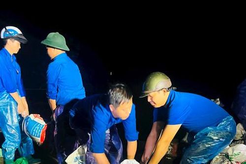 600 thanh niên Thường Tín sẵn sàng hỗ trợ bảo đảm an toàn đê sông Hồng