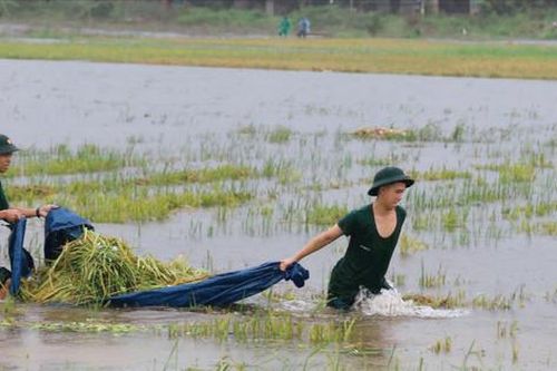 Điểm tựa Bộ đội Cụ Hồ