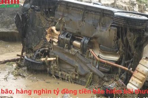 Hàng nghìn tỷ đồng tiền bảo hiểm bồi thường thiệt hại người và tài sản sẽ được chi trả tới người dân sau bão