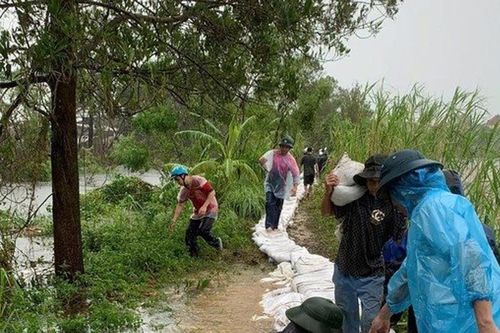 Hải Dương: Khắc phục hàng trăm điểm sự cố về đê điều, thủy lợi