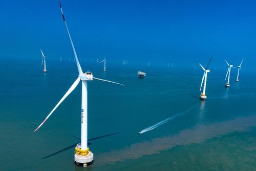 Lý do trang trại điện gió Trung Quốc trụ vững trước siêu bão Yagi